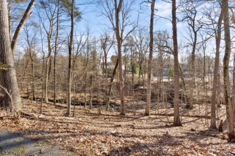 20 Hidden Glen Road Upper Saddle River NJ 07458