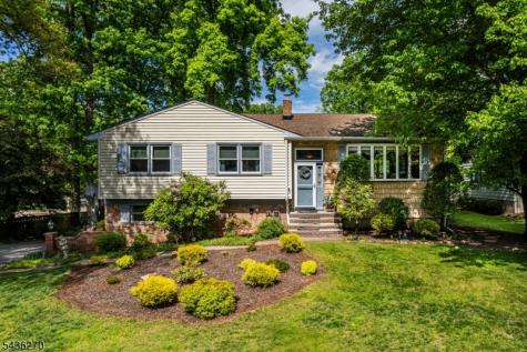 38 Forest Drive Roxbury NJ 07876