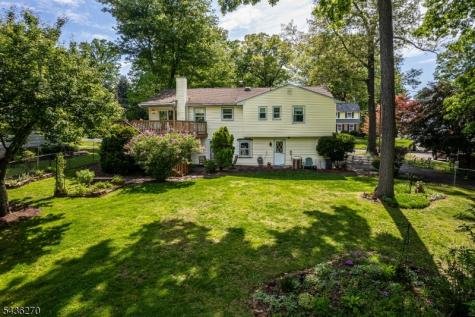 38 Forest Drive Roxbury NJ 07876