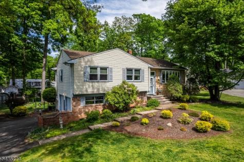 38 Forest Drive Roxbury NJ 07876