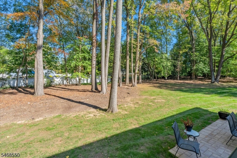 5 Indian Run Scotch Plains NJ 07076