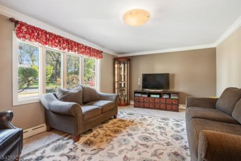 11 Briar Hills Circle Springfield NJ 07081