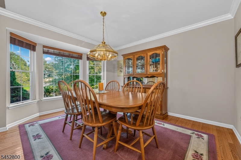 22 Mott Way Raritan NJ 08822