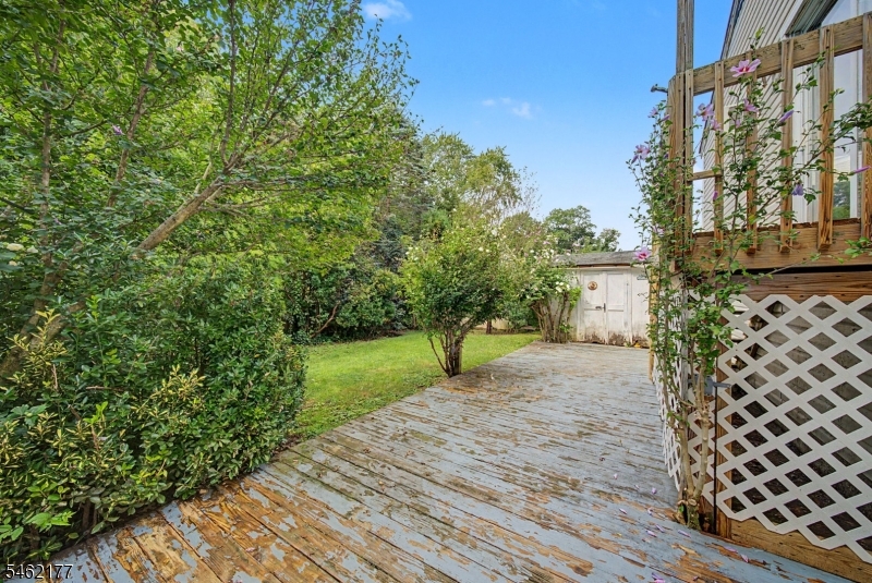 13 Spruce Place Denville NJ 07834