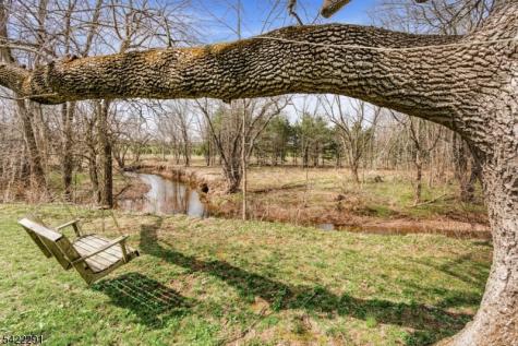 15 Welisewitz Road East Amwell NJ 08551