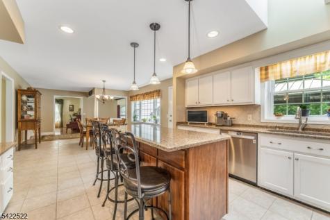 9 Westminster Drive Clinton NJ 08801