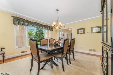 9 Westminster Drive Clinton NJ 08801