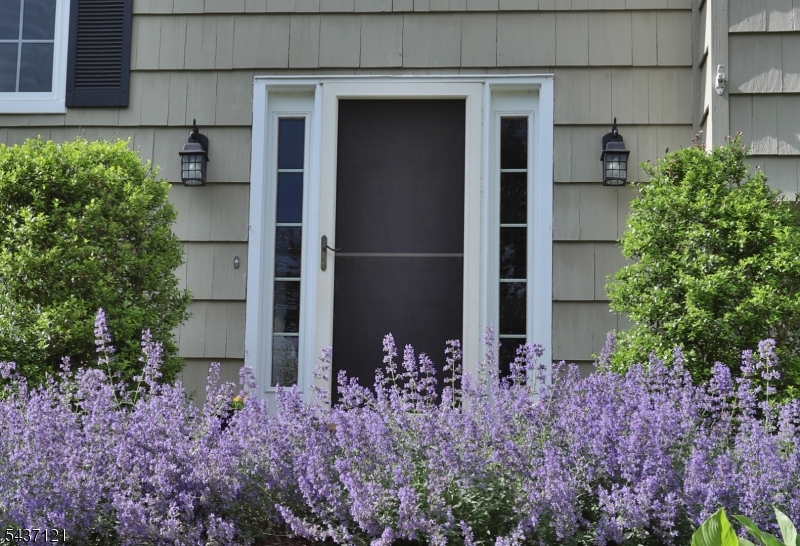 13 Raritan Drive Califon NJ 07830