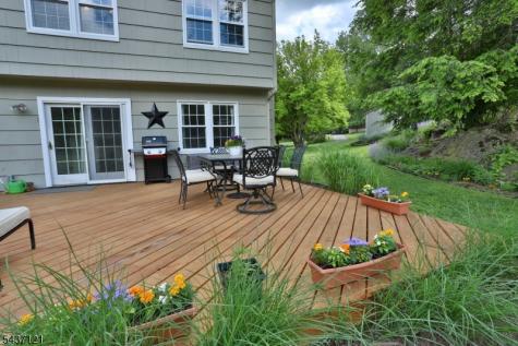 13 Raritan Drive Califon NJ 07830