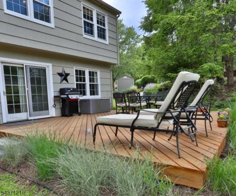 13 Raritan Drive Califon NJ 07830