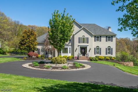 10 David Place Mount Olive NJ 07836