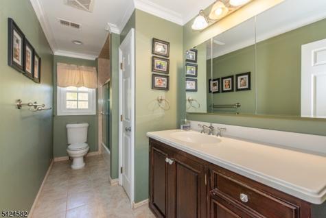 10 David Place Mount Olive NJ 07836