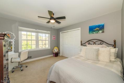 10 David Place Mount Olive NJ 07836
