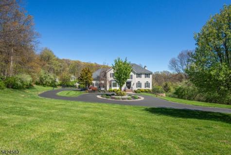 10 David Place Mount Olive NJ 07836