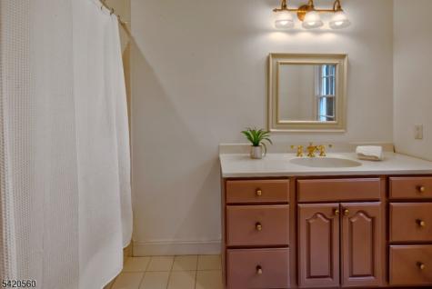 9 Green Hill Road Chester NJ 07930