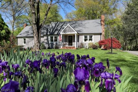 12 Rocky Lane Bernards NJ 07920