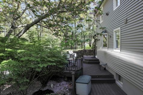 12 Rocky Lane Bernards NJ 07920