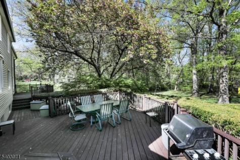 12 Rocky Lane Bernards NJ 07920