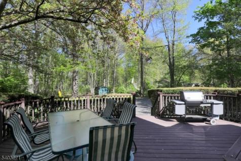 12 Rocky Lane Bernards NJ 07920