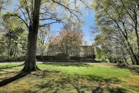 12 Rocky Lane Bernards NJ 07920