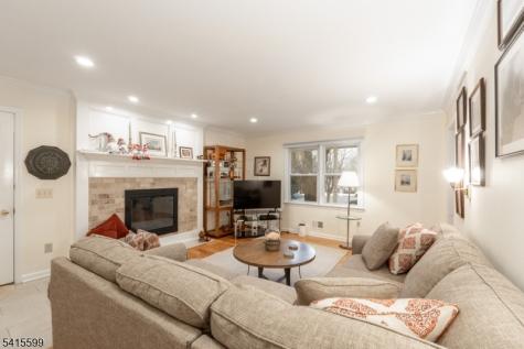 6 Betsy Ross Court Montgomery NJ 08558