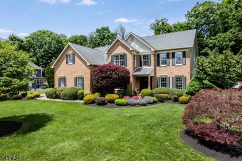 15 Ammerman Way Chester NJ 07930