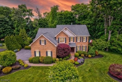 15 Ammerman Way Chester NJ 07930