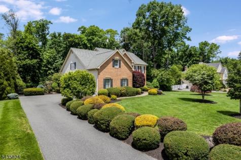 15 Ammerman Way Chester NJ 07930