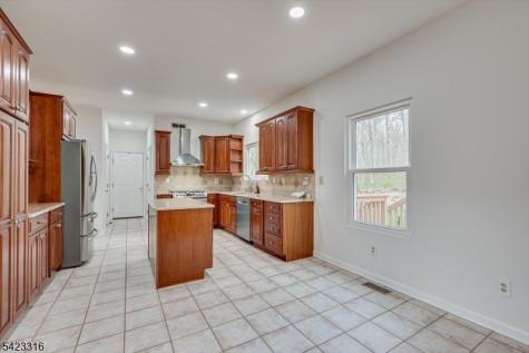 9 Stirrup Way Franklin NJ 08540
