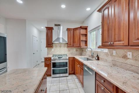 9 Stirrup Way Franklin NJ 08540