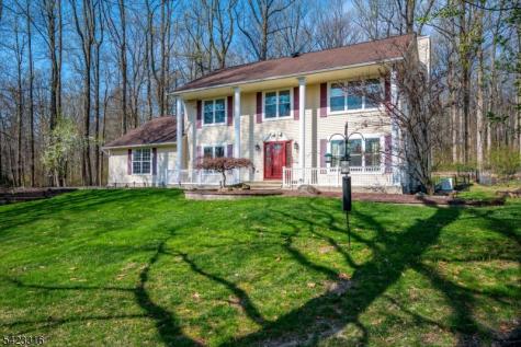 9 Stirrup Way Franklin NJ 08540