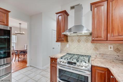 9 Stirrup Way Franklin NJ 08540