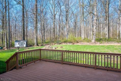 9 Stirrup Way Franklin NJ 08540