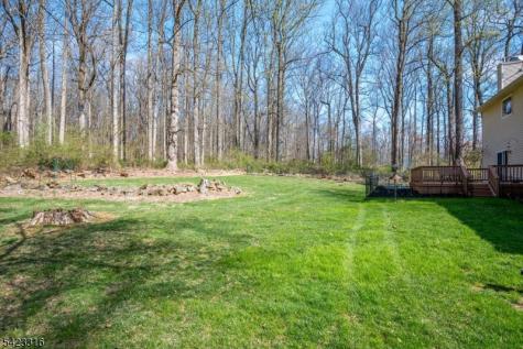 9 Stirrup Way Franklin NJ 08540