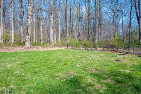 9 Stirrup Way Franklin NJ 08540