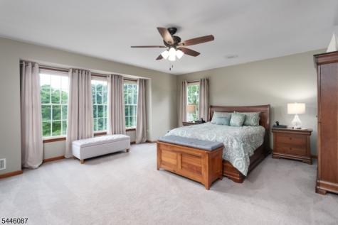 17 Shy Creek Road Alexandria NJ 08867