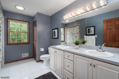 17 Shy Creek Road Alexandria NJ 08867