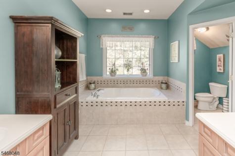 4 Cove Hollow Court Andover NJ 07821