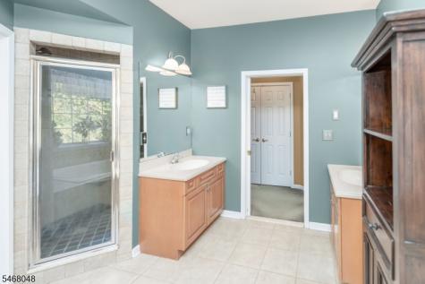 4 Cove Hollow Court Andover NJ 07821