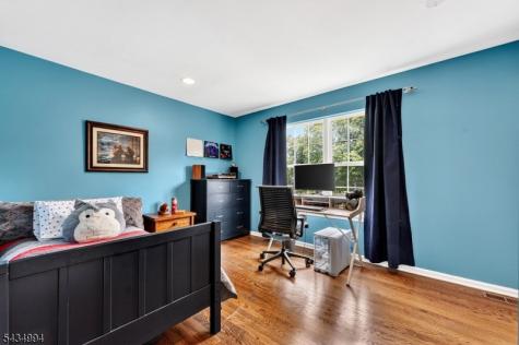 6 Big Top Drive West Amwell NJ 08530