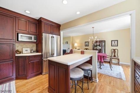 217 Jeffer Street Ridgewood Village NJ 07450