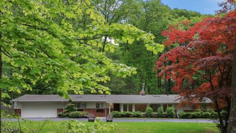 75 Seney Drive Bernardsville NJ 07924