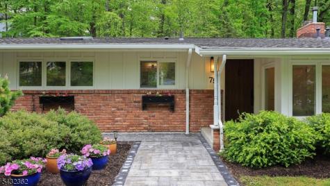 75 Seney Drive Bernardsville NJ 07924
