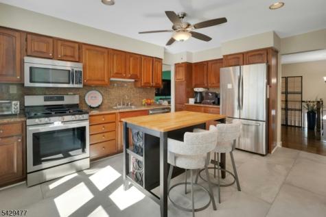 10 Ronald Terrace Springfield NJ 07081