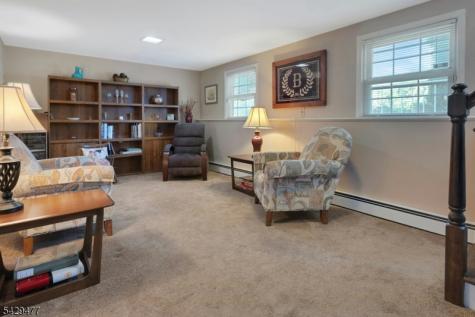 10 Ronald Terrace Springfield NJ 07081