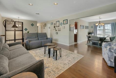10 Ronald Terrace Springfield NJ 07081