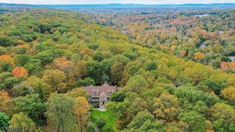 23 Charlotte Hill Drive Bernardsville NJ 07924