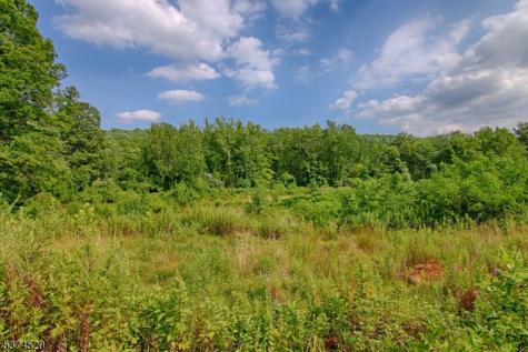 496 Mine Brook Road Bernardsville NJ 07924