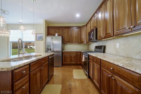 10 Ginkgo Court Franklin NJ 08873