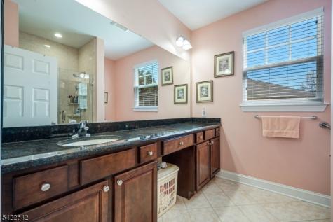 10 Ginkgo Court Franklin NJ 08873